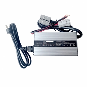 24V 30A Lithium Iron Phosphate (LiFePO4) Battery Charger