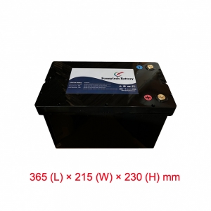 48V 51.2V 50AH Lithium Iron Phosphate LiFePO4 Battery with CATL Cells + Active Balancing BMS + Bluetooth